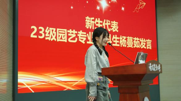 世界杯赛事官网