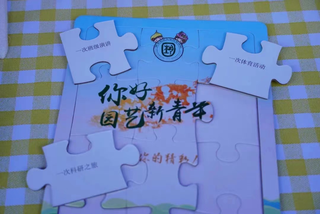 世界杯赛事官网