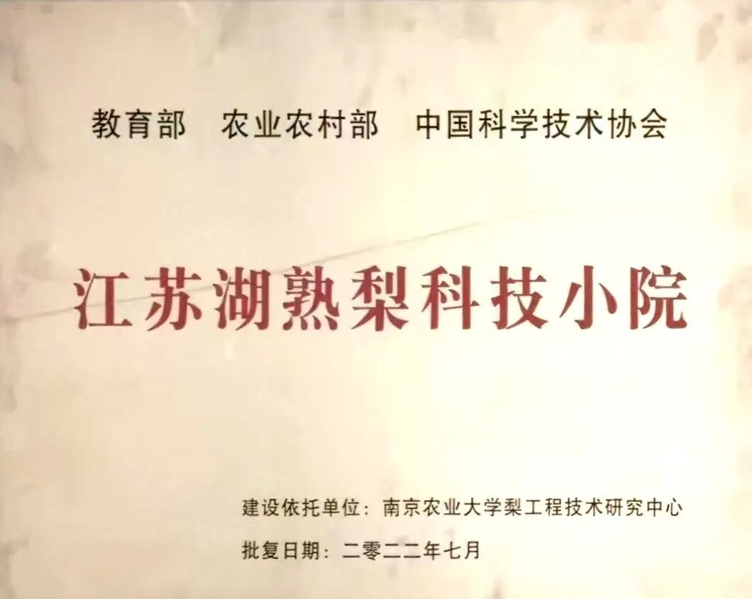 世界杯赛事官网