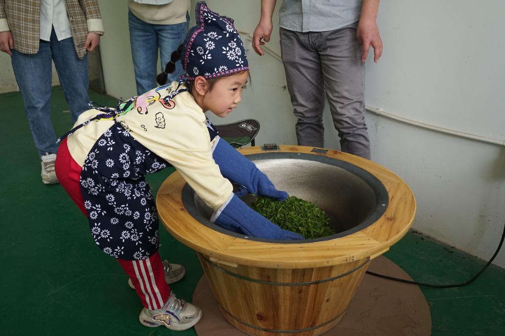 世界杯赛事官网